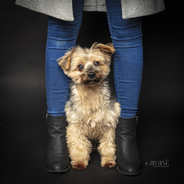 Yorkshire pup with its mum being photographed by Cormac Byrne  