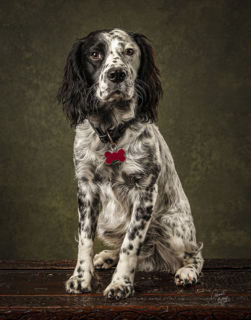 Such a poser for his portrait at Cormac Byrne Photography, Limerick.  